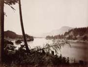 Carleton E.Watkins